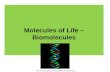 Molecules of Life –  Biomolecules