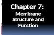 Chapter  7:   Membrane  Structure and Function