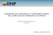 ESQUEMA  DE SUBSIDIOS Y CONTRIBUCIONES DEL SERVICIO DE ENERGÍA ELÉCTRICA