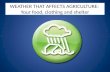 WEATHER THAT AFFECTS AGRICULTURE:  Your food, clothing and shelter