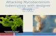 Attacking  Mycobacterium tuberculosis  with designer drugs