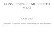 CONVERSION OF MUSCLE TO MEAT
