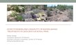 Effectiveness  and longevity of  buffelgrass  treatments in  sAguaro  National Park
