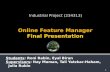 Online Feature Manager Final Presentation
