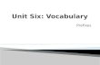 Unit  Six:  Vocabulary