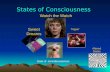 States  of Consciousness