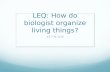 LEQ: How do biologist organize living things?