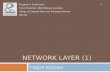 Network  layer (1)