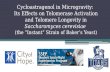 Cycloastragenol in Microgravity: