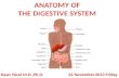 ANATOMY OF  THE DIGESTIVE SYSTEM