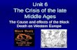 Unit  6 The Crisis of the late Middle Ages