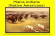 Plains Indians (Native Americans)