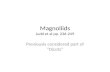 Magnoliids Judd et al pp. 236-249