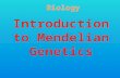Introduction to  Mendelian  Genetics