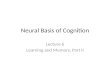 Neural Basis of Cognition