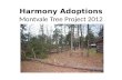 Harmony Adoptions Montvale Tree Project 2012