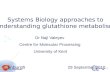 Systems Biology approaches to understanding glutathione metabolism