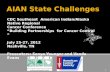 AIAN State Challenges