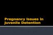 Pregnancy Issues in Juvenile Detention