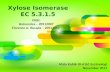Xylose Isomerase EC 5.3.1.5