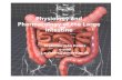 Physiology and Pharmacology of the Large Intestine