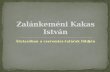 Zalánkeméni  Kakas István