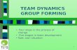 TEAM DYNAMICS  GROUP FORMING