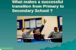 What makes a successful transition from Primary to Secondary School ?