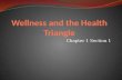 Wellness and the Health Triangle