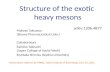 Structure of the exotic  heavy mesons