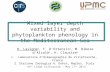 Mixed layer depth variability and phytoplankton  phenology  in the Mediterranean Sea
