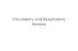 Circulatory and Respiratory Review