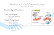 Biochem 03  Cell Communication November 10, 2010