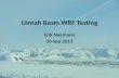 Uintah Basin WRF Testing