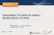 Roadmaps to  health panel:  mobilizing action