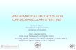 MATHEMATICAL METHODS FOR    CARDIOVASCULAR STENTING