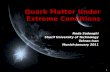 Quark Matter Under Extreme Conditions