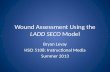 Wound Assessment  Using the  LADD SECO  Model