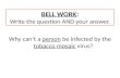 BELL WORK : Write the question AND your answer.