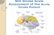 NIH Stroke Scale Assessment of the  Acute Stroke Patient