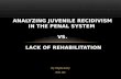 Analyzing Juvenile Recidivism in the Penal System  vs.  Lack of Rehabilitation