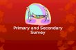 Primary and Secondary Survey