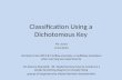 Classification Using a Dichotomous Key