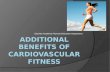 Additional Benefits of cardiovascular fitness