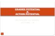 GRADED POTENTIAL  &  ACTION POTENTIAL
