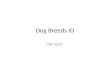 Dog Breeds ID