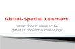 Visual-Spatial Learners