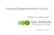 Coupled Biogeochemical Cycles