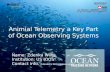 Animial  Telemetry a Key Part of Ocean Observing Systems