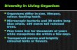 Diversity in Living Organism